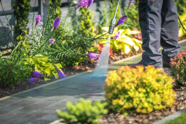  Schler Park, IL Pressure Washing Pros