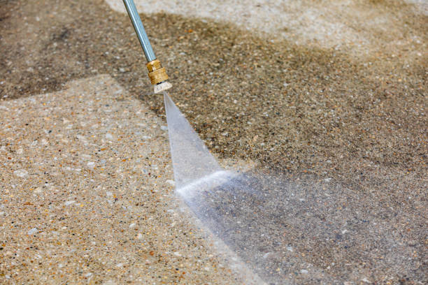 Best Vinyl Siding Pressure Washing in Schler Park, IL